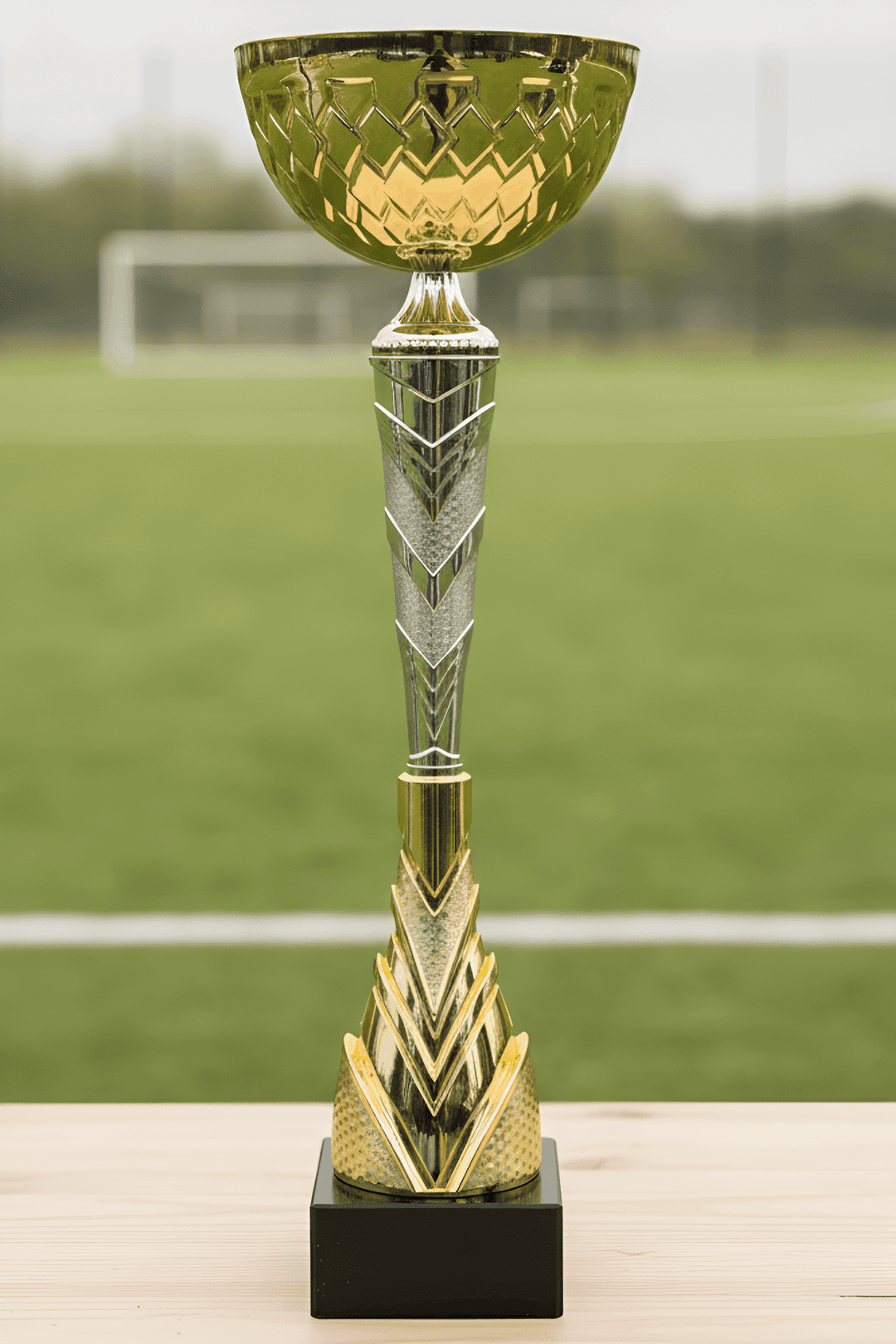 Puchar - CUP460